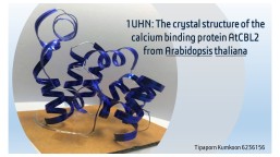 Tipaporn_calcium binding protein AtCBL2_physicalmodel